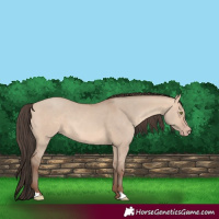 Horse Color:Amber Champagne Dun 