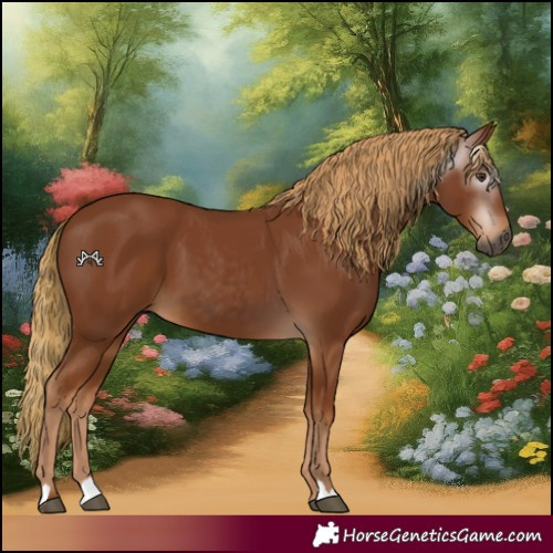 Horse Color:Gray Chestnut 