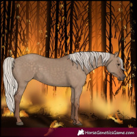 Horse Color:Silver Grullo
