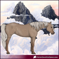 Horse Color:Silver Grullo