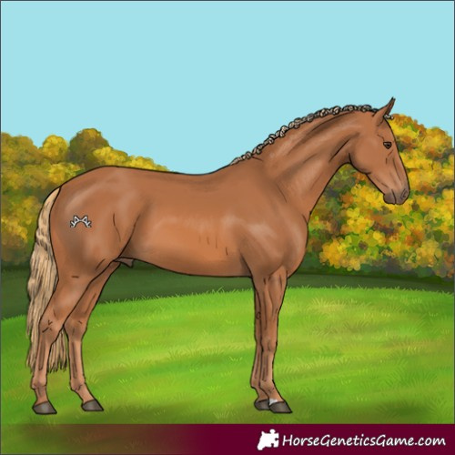 Horse Color:Chestnut 