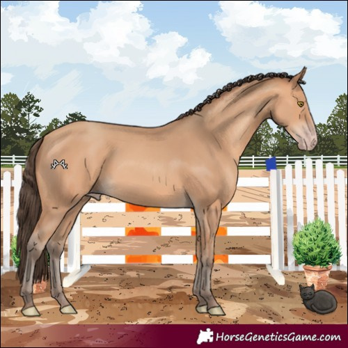 Horse Color:Amber Champagne 