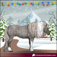 Horse Color:Silver Blue Roan Tobiano