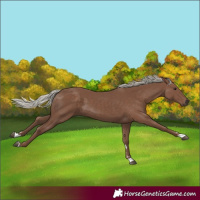 Horse Color:Silver Black 