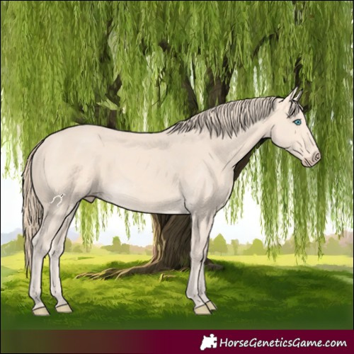 Horse Color:Perlino 