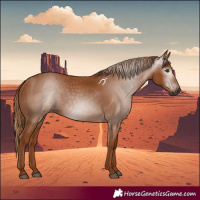 Horse Color:Gray Chestnut 