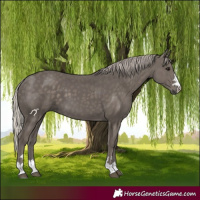 Horse Color:Silver Black 