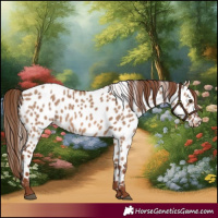 Horse Color:Red Dun Near Leopard