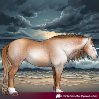 Horse Color:Gray Gold Champagne 
