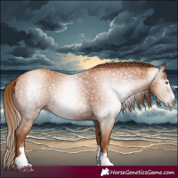 Horse Color:Gray Gold Champagne 