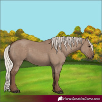Horse Color:Silver Grullo 