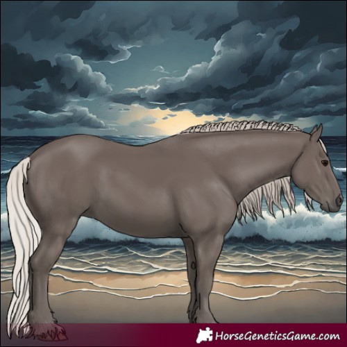 Horse Color:Silver Black 