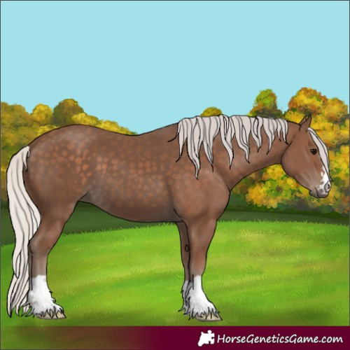 Horse Color:Silver Black