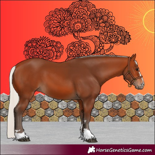 Horse Color:Silver Bay