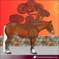 Horse Color:Silver Bay