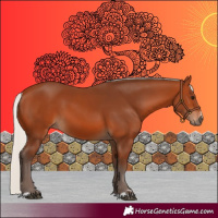 Horse Color:Silver Bay 