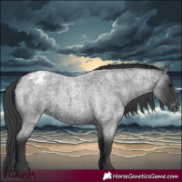 Horse Color:Blue Roan Varnish 