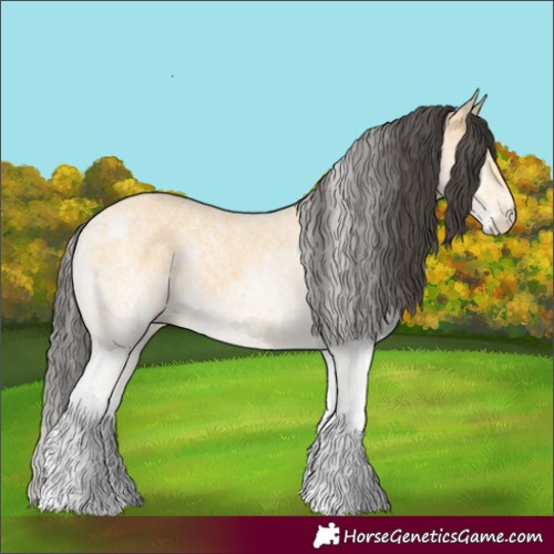 Horse Color:White Spotted Buckskin 