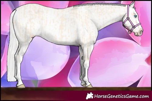Horse Color:Cremello Splash  and Cremello Splash 