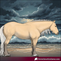 Horse Color:Silver Buckskin 