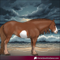 Horse Color:Chestnut Frame