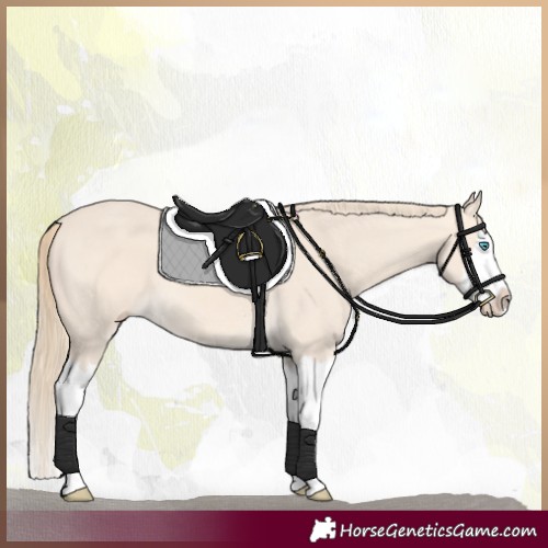 Horse Color:Perlino Splash and Perlino Splash