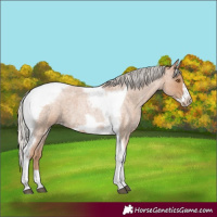 Horse Color:Silver Blue Roan Pearl Tobiano Frame 