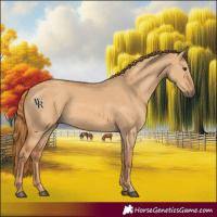 Horse Color:Red Dun 