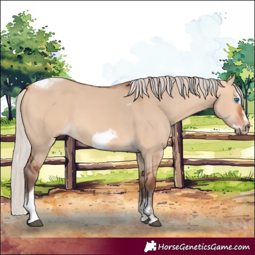 Horse Color:Silver Bay Dun Sabino Tobiano Frame Rabicano 