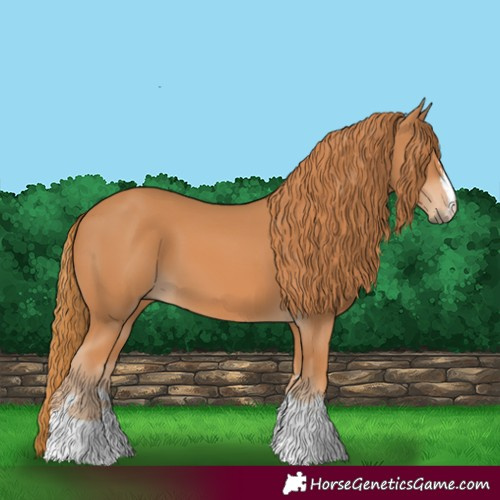 Horse Color:Chestnut 