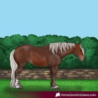 Horse Color:Silver Bay