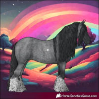 Horse Color:Blue Roan Tobiano