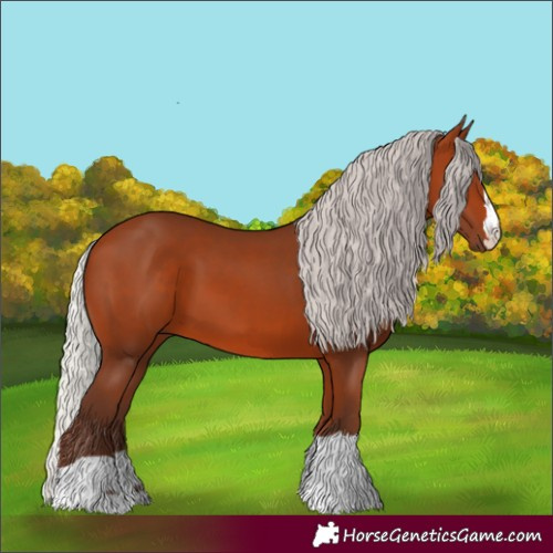 Horse Color:Silver Bay 