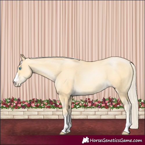 Horse Color:Palomino Pearl