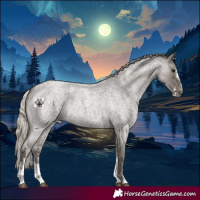 Horse Color:Silver Blue Roan Sabino 