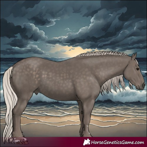 Horse Color:Silver Black