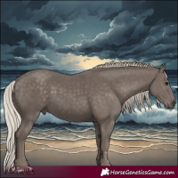Horse Color:Silver Black 