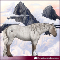 Horse Color:Silver Blue Roan Sabino 