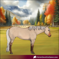 Horse Color:Silver Bay Dun 