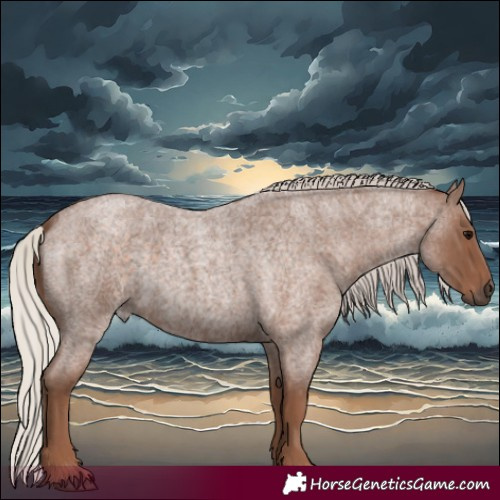Horse Color:Silver Blue Roan 