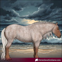 Horse Color:Silver Blue Roan 