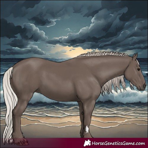 Horse Color:Silver Black 