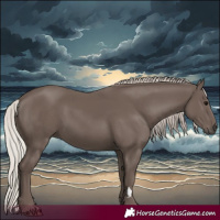 Horse Color:Silver Black 