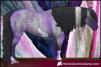 Horse Color:Blue Roan Tobiano