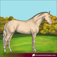Horse Color:Gold Champagne Dun 