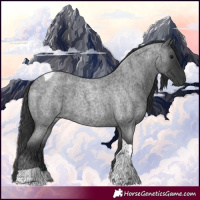 Horse Color:Blue Roan Tobiano 