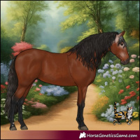 Horse Color:Gray Bay 