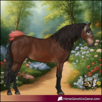 Horse Color:Gray Bay 