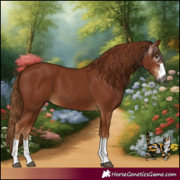 Horse Color:Gray Chestnut 