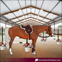 Horse Color:Silver Bay 